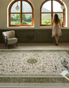 Classic Persian Living Room Rug